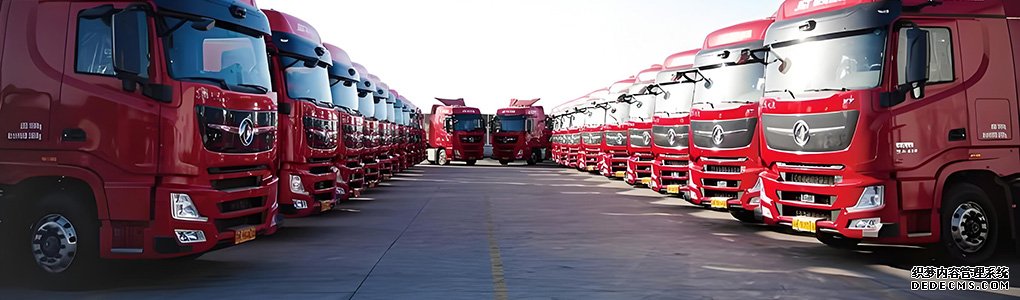 �ϳ�����